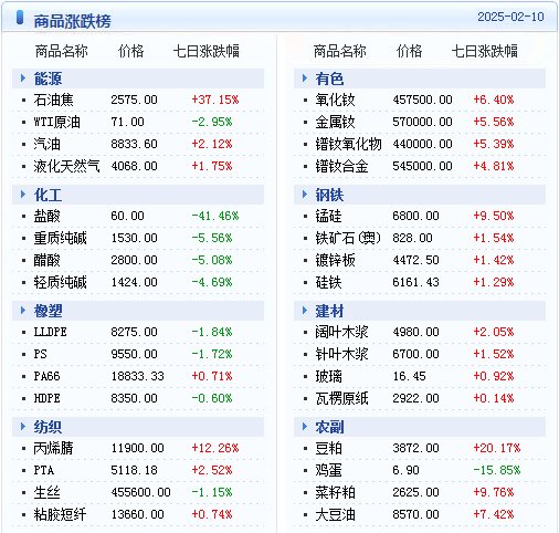 简报 第3页